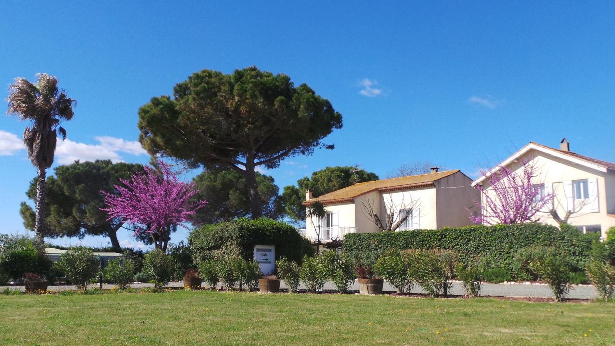 A l'Orée Des Vignes Montady Exterior foto